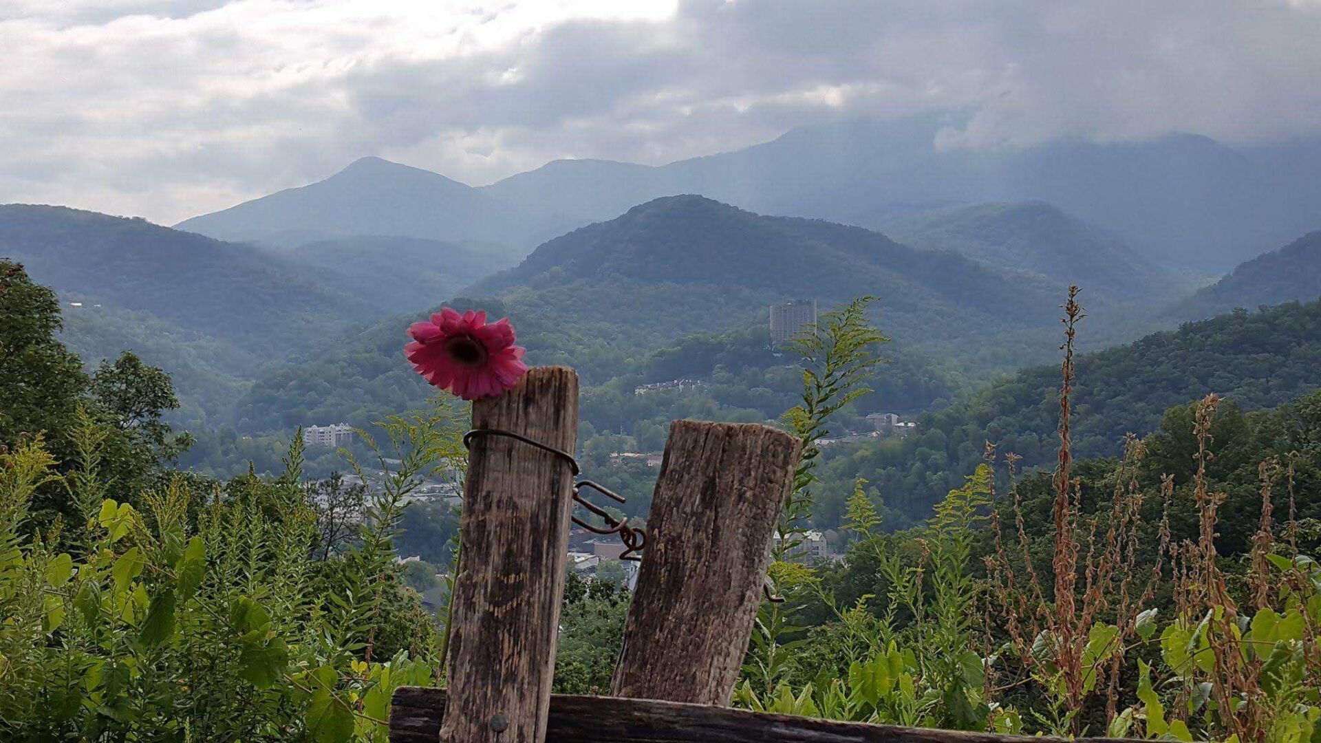 Smokey Mountain